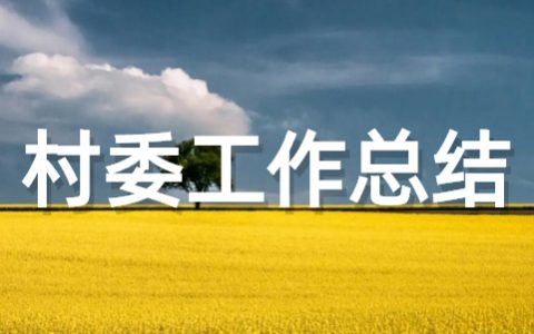 村委会优秀工作总结大全 村委会年度工作总结范文