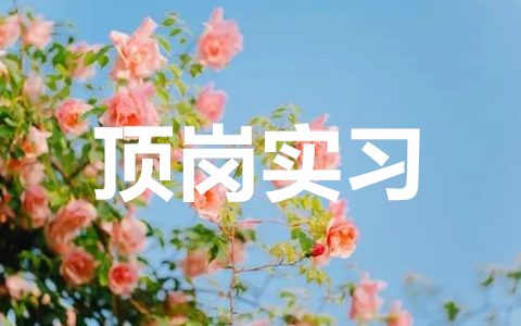顶岗实习报告个人总结范文（精选20篇）