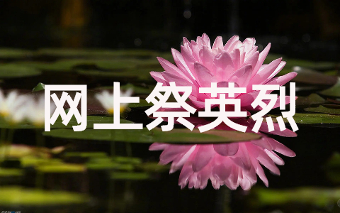 网上祭英烈活动方案(最新15篇)