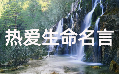 热爱生命的名言警句(120句合集)