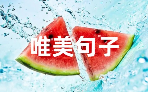 推荐致自己本命年的唯美句子合集(精选66句)