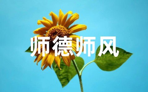 幼儿园教师个人师德师风总结范文（精选21篇）