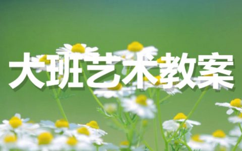 大班艺术领域优秀教案 幼儿艺术方面教学教案