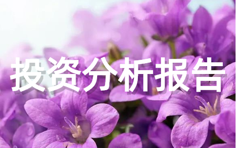 项目投资可行性分析报告大全(通用17篇)