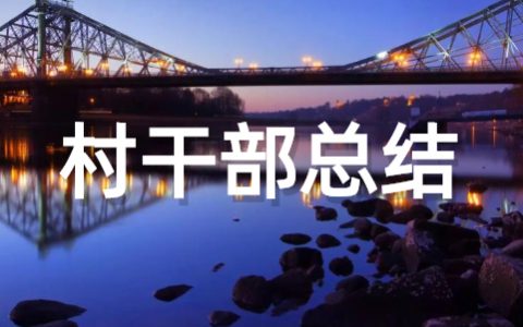 2022村干部个人总结 驻村干部个人年末总结