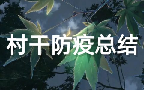 村干部关于疫情防控个人工作总结（精选16篇）