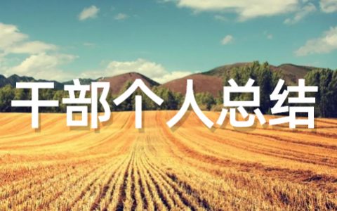 村干部个人总结范文大全(通用16篇)