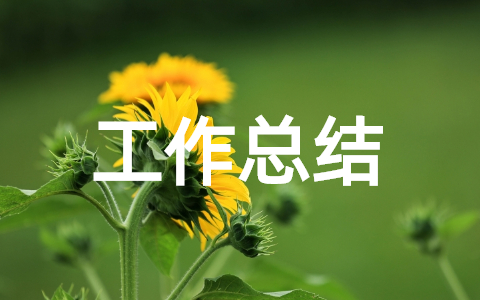 2022年乡村振兴驻村干部个人工作总结 乡村振兴工作队职责