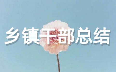 乡镇干部工作总结 普通乡镇干部个人总结