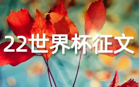 2022年世界杯足球征文(精选21篇)