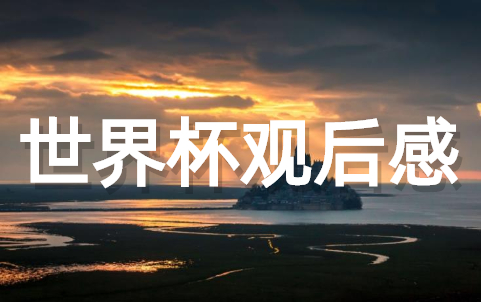 足球世界杯观后感范文(通用17篇)