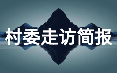 村委走访残疾人简报范文(精选20篇)