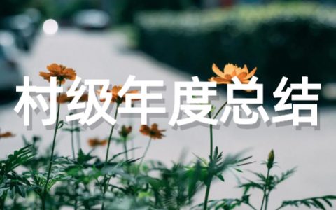 村级年度工作总结范文 农村年终工作总结大全