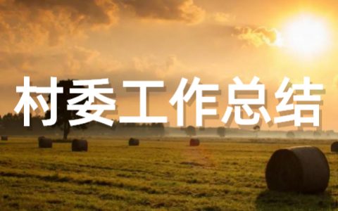 村委会2022年工作总结 村委会工作总结完整版