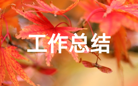 元旦晚会学生会工作总结(精选20篇)
