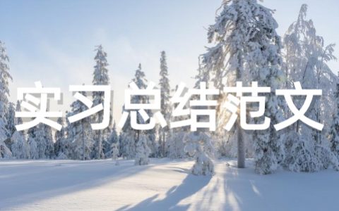 实习总结范文大全（通用22篇）