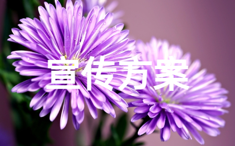 防范网络诈骗宣传活动方案(精选16篇)