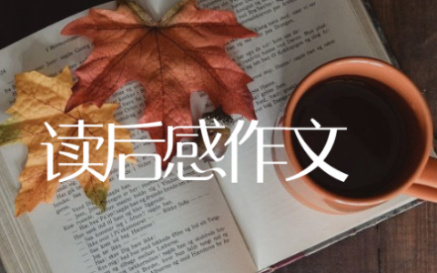 读后感作文600字左右精选15篇