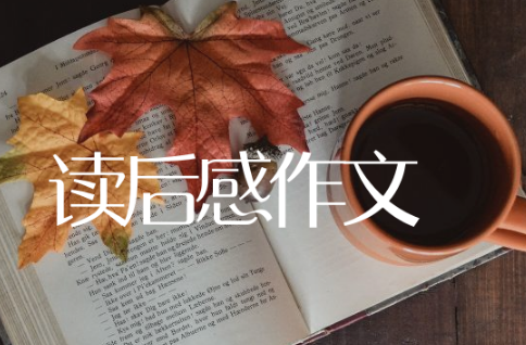 读后感作文600字左右精选15篇