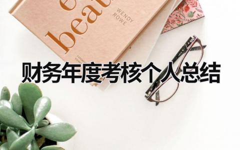 财务年度考核个人总结范文12篇