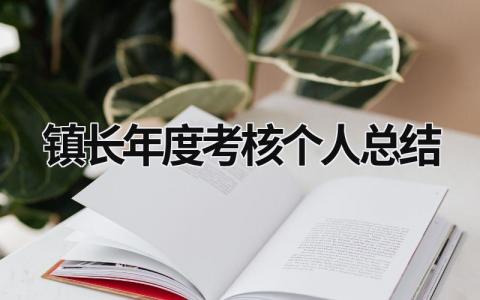 镇长年度考核个人总结5篇大全