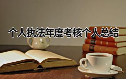 个人执法年度考核个人总结3篇