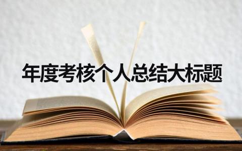 2023年度考核个人总结格式模板范文 (8篇）
