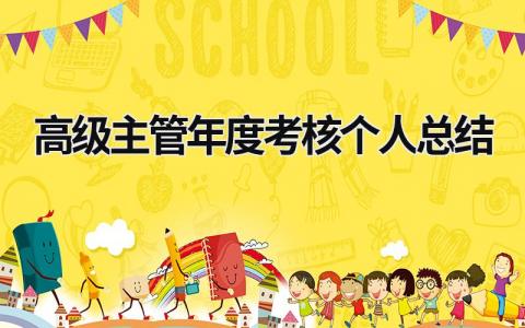 高级主管年度考核个人总结5篇
