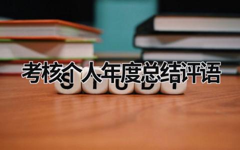 考核个人年度总结评语3篇范文