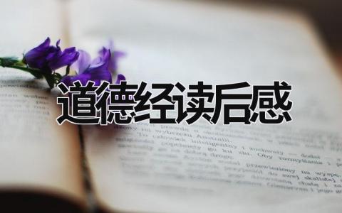 2023道德经读后感范文 道德经读后感15篇