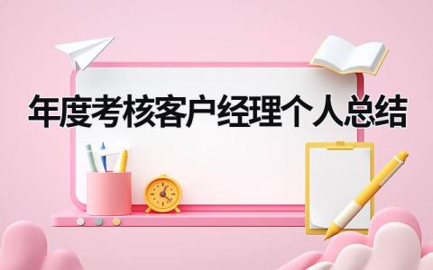 2023年度考核客户经理个人总结(8篇)