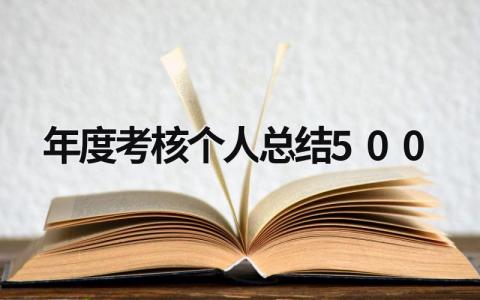 年度考核个人总结500字范文(17篇）