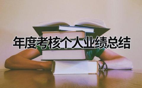 年度考核个人业绩总结(3篇）
