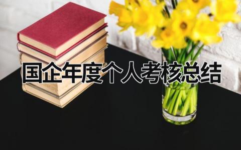 2023国企年度个人考核总结(6篇)