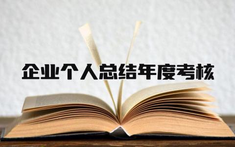 企业个人总结年度考核范文(3篇）
