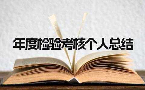 2023年度检验考核个人总结(范文8篇）