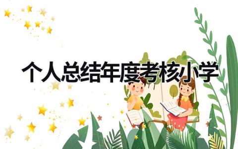 个人总结年度考核小学教师范文(8篇）