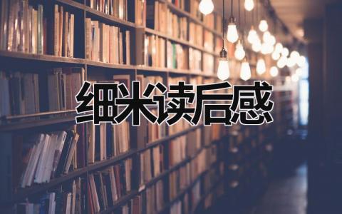 细米读后感悟 细米读后感(6篇）