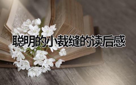 聪明的小裁缝的读后感范文(5篇)