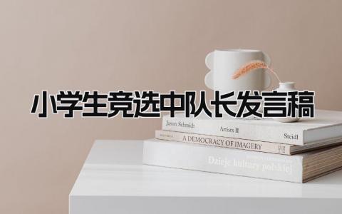 2024小学生竞选中队长发言稿(3篇）