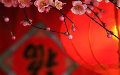 2024新年愿望短句文案简短大全99句