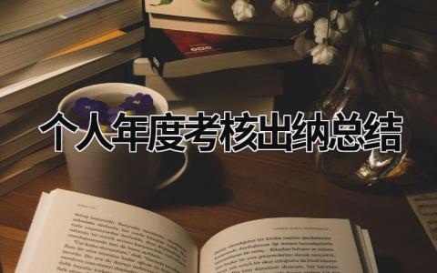2024个人年度考核出纳总结(范文11篇)