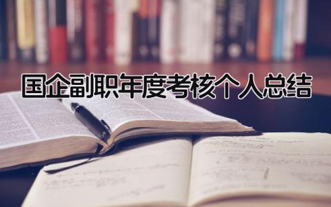 2024国企副职年度考核个人总结(范文9篇）