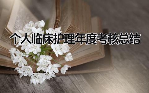 2024个人临床护理年度考核总结(范文17篇)