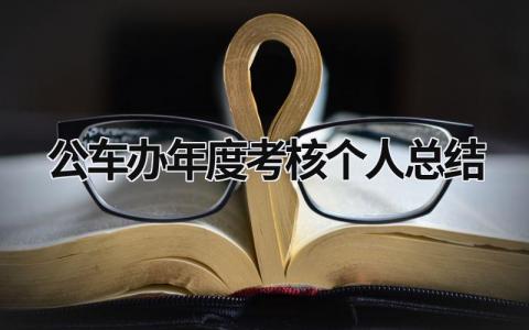 公车办年度考核个人总结(3篇)