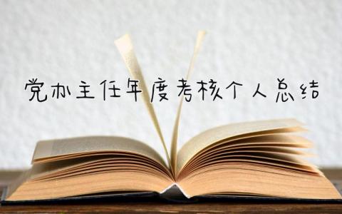 2024党办主任年度考核个人总结(范文18篇）