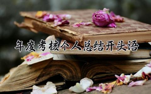 2024年度考核个人总结开头语范文(精选3篇）