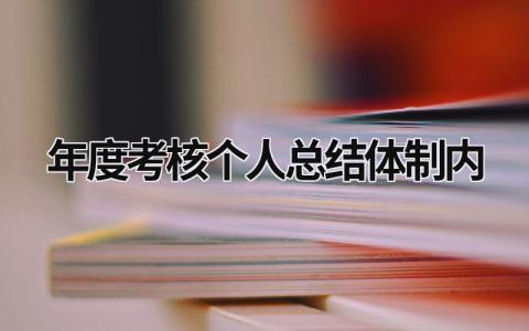 年度考核个人总结体制内范文(8篇）