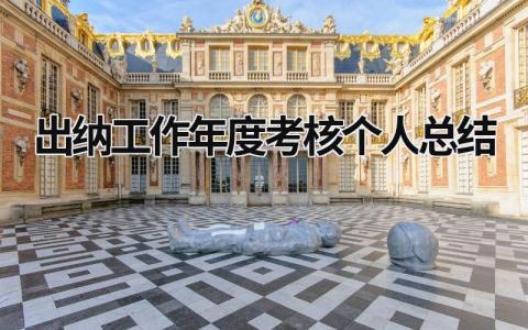 出纳工作年度考核个人总结(18篇）