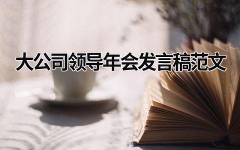大公司领导年会发言稿范文(12篇)